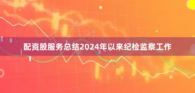 配资股服务总结2024年以来纪检监察工作
